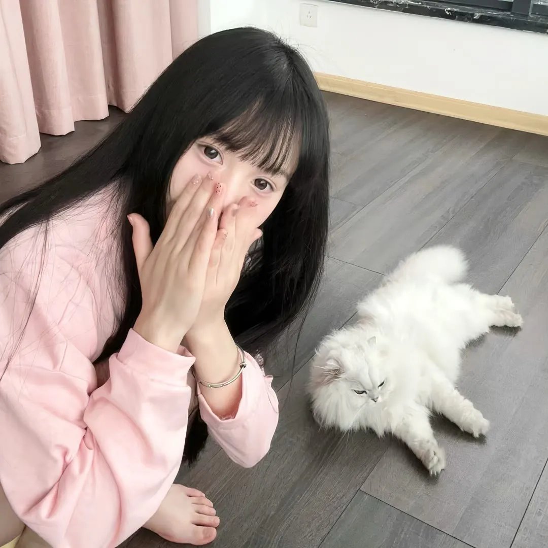 海军罪案调查处:悉尼第二季